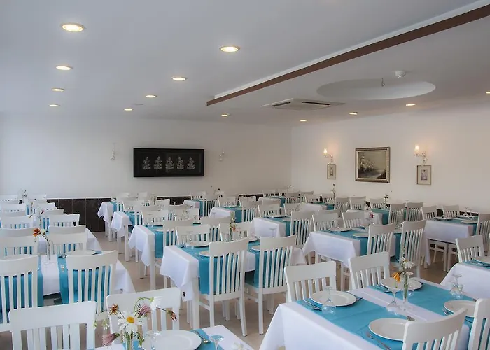 Dickman Elite 3* Sidé